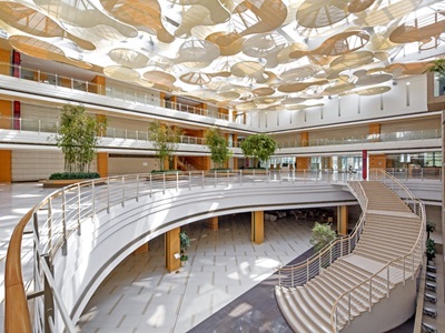 技术专题 国家ICT